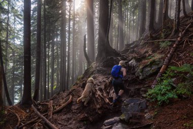 Maceracı bir kız sisli ve güneşli bir gün boyunca ormanda bir iz üzerinde bir köpek ile yürüyüş. Alınan Cypress Provincial Park, Vancouver, British Columbia, Kanada.