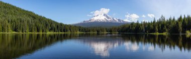 Beautiful Panoramic Landscape View of a Lake with Mt Hood in the background during a sunny summer day. Taken from Trillium Lake, Mt. Hood National Forest, Oregon, United States of America. clipart