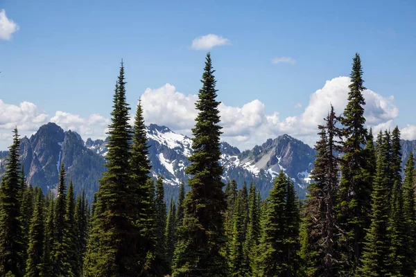 Schöne Amerikanische Berglandschaft Während Eines Sonnigen Sommertages Aufgenommen Paradies Rainier — Stockfoto