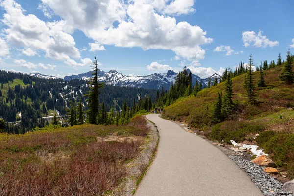 Beautiful view of a trail in Paradise during a sunny summer day. Taken in Mt Rainier National Park, Washington, United States of America.