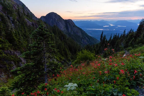 Hermosa Vista Panorámica Del Paisaje Montaña Canadiense Durante Una Vibrante —  Fotos de Stock