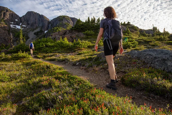 Авантюрний Дівчина Піший Похід Красивою Доріжкою Канадському Гірському Ландшафті Під — стокове фото
