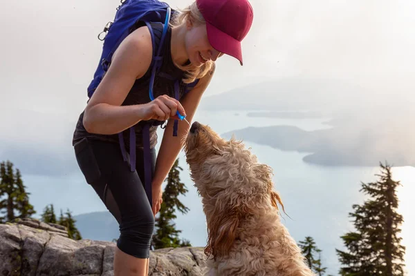 Mujer Aventurera Excursionista Perro Están Cenando Agua Durante Día Verano — Foto de Stock