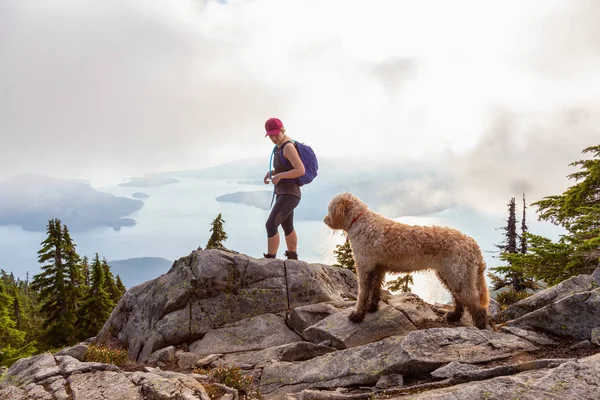 Adventurous Girl Está Caminhando Com Cão Topo Montanha Desnecessária Durante — Fotografia de Stock