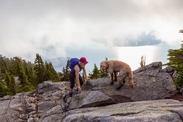 Adventurous Girl Está Caminhando Com Cão Topo Montanha Desnecessária Durante — Fotografia de Stock