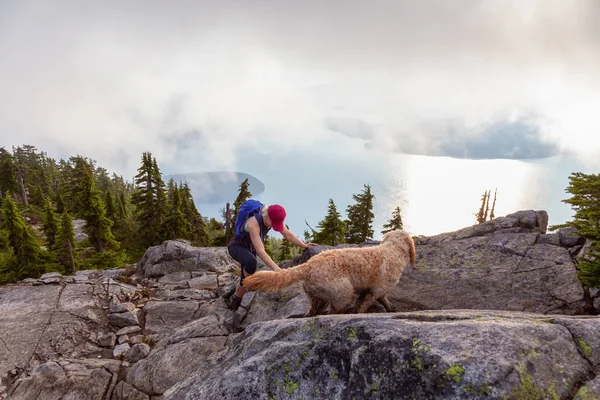 Adventurous Girl Está Caminhando Com Cão Topo Montanha Desnecessária Durante — Fotografia de Stock