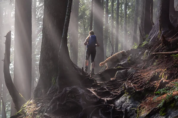 Adventurous girl hiking with a dog on a trail in the woods during a foggy and sunny day. Taken in Cypress Provincial Park, Vancouver, British Columbia, Canada.