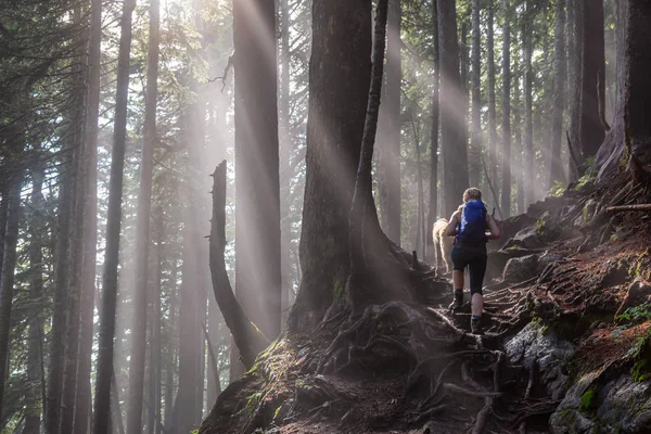 霧と晴れた日の間に森のトレイルに犬と一緒にハイキング冒険的な女の子 カナダ ブリティッシュコロンビア州バンクーバー サイプレス州立公園で撮影 — ストック写真