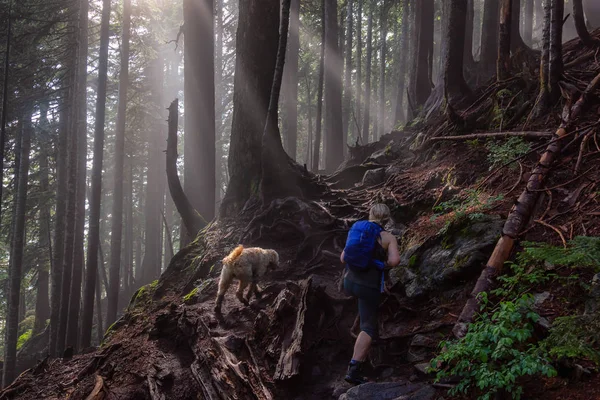 Chica Aventurera Haciendo Senderismo Con Perro Sendero Bosque Durante Día — Foto de Stock