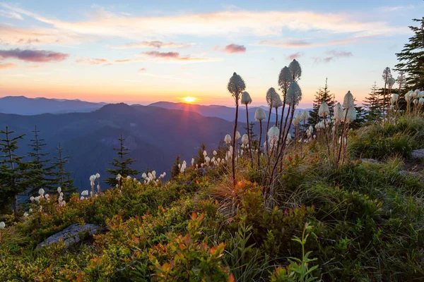 Schöne Aussicht Auf Die Amerikanische Berglandschaft Bei Einem Lebendigen Und — Stockfoto