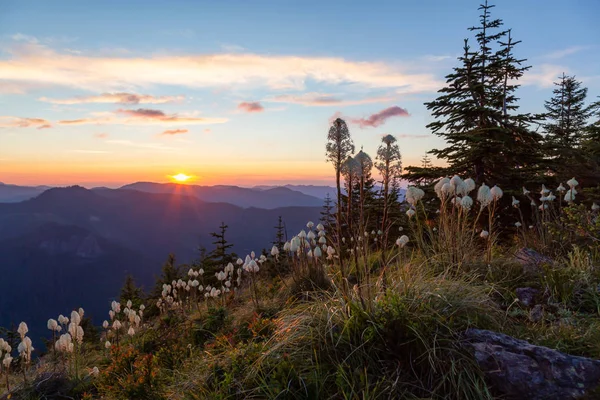 鮮やかでカラフルな夏の夕日の間にアメリカの山の風景の美しい景色 サントップ展望台から撮影 マウントレーニア国立公園 シアトルの南 ワシントン アメリカ合衆国 — ストック写真