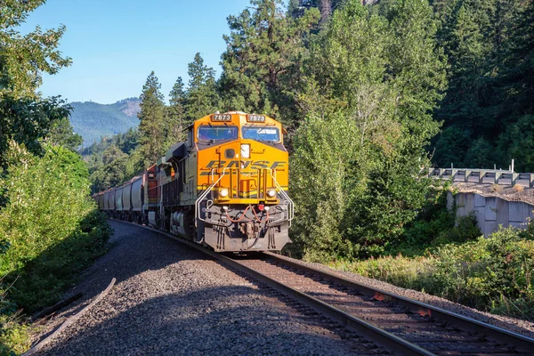 White Salmon Washington Estados Unidos Junho 2019 Passeio Trem Comercial — Fotografia de Stock