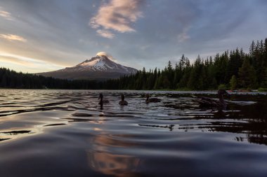 Beautiful Landscape View of Mt Hood during a dramatic cloudy sunset. Taken from Trillium Lake, Mt. Hood National Forest, Oregon, United States of America. clipart