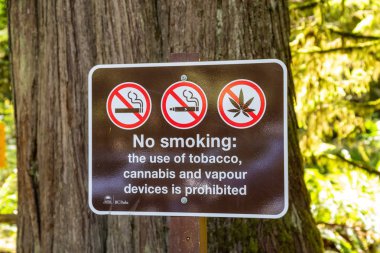 Macmillan Provincial Park, Vancouver Island, British Columbia, Kanada - 20 Temmuz 2019: Güneşli bir yaz gününde parkta Sigara İçme İşareti Yok.