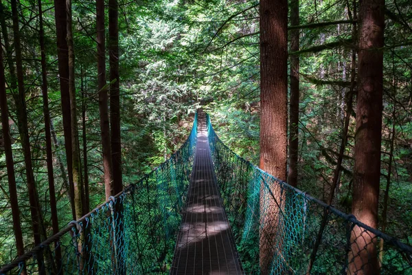 Bela Vista Uma Ponte Suspensão Trilha Juan Fuca Até Mystic — Fotografia de Stock