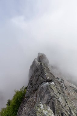Bulutlu bir yaz sabahı sırasında Kanada Dağ Manzara Güzel Görünümü. Crown Mountain, North Vancouver, British Columbia, Kanada'da ele alındı.