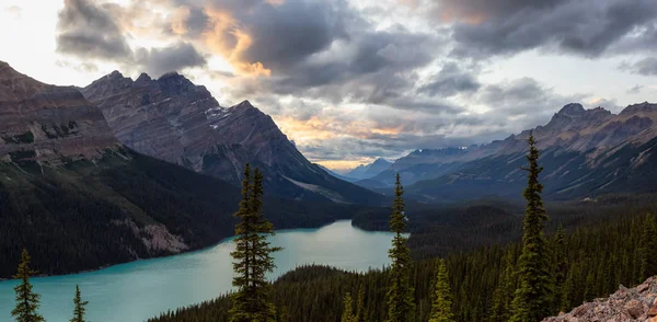 Kanada Kayalık Dağları ve Peyto Gölü, hareketli bir yaz gün batımı sırasında bir dağın tepesinden manzaraya bakmaktadır. Icefields Parkway, Banff Ulusal Parkı, Alberta, Kanada'da çekildi.