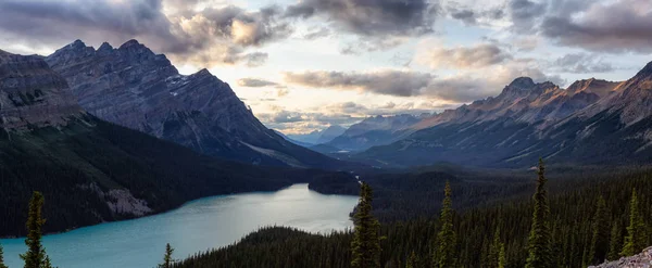 Canadian Rockies Peyto Lake Viste Dalla Cima Una Montagna Durante — Foto Stock