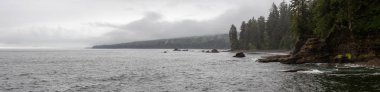 Sisli ve yağmurlu bir yaz gününde Juan de Fuca Trail şelale ile kayalık bir sahil güzel Panoramik Görünümü. Sombrio Beach'te, Port Renfrew yakınlarında, Vancouver Adası, Bc, Kanada.
