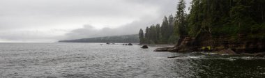 Sisli ve yağmurlu bir yaz gününde Juan de Fuca Trail şelale ile kayalık bir sahil güzel Panoramik Görünümü. Sombrio Beach'te, Port Renfrew yakınlarında, Vancouver Adası, Bc, Kanada.