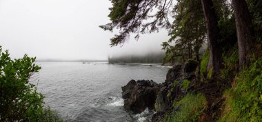 Yaz gün batımı sırasında Juan de Fuca Trail üzerinde kayalık bir plaj güzel Panoramik Görünümü. Sombrio Beach'te, Port Renfrew yakınlarında, Vancouver Adası, Bc, Kanada.
