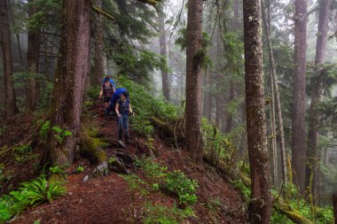 Maceracı bayan arkadaşlar sisli ve yağmurlu bir yaz günü boyunca ormanda Juan de Fuca Trail yürüyüş vardır. Port Renfrew yakınlarında çekilen Vancouver Adası, Bc, Kanada.