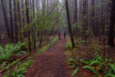 Maceracı bayan arkadaşlar sisli ve yağmurlu bir yaz günü boyunca ormanda Juan de Fuca Trail yürüyüş vardır. Port Renfrew yakınlarında çekilen Vancouver Adası, Bc, Kanada.