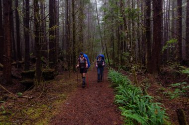 Maceracı bayan arkadaşlar sisli ve yağmurlu bir yaz günü boyunca ormanda Juan de Fuca Trail yürüyüş vardır. Port Renfrew yakınlarında çekilen Vancouver Adası, Bc, Kanada.