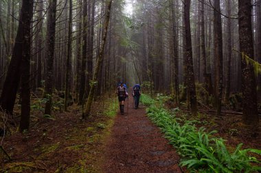 Maceracı bayan arkadaşlar sisli ve yağmurlu bir yaz günü boyunca ormanda Juan de Fuca Trail yürüyüş vardır. Port Renfrew yakınlarında çekilen Vancouver Adası, Bc, Kanada.