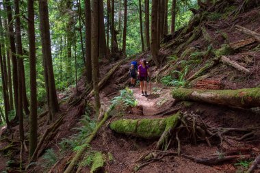 Maceracı arkadaşlar güneşli bir yaz günü juan de Fuca Trail yürüyüş vardır. Port Renfrew yakınlarında çekilen Vancouver Adası, Bc, Kanada.