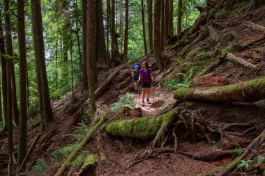 Maceracı arkadaşlar güneşli bir yaz günü juan de Fuca Trail yürüyüş vardır. Port Renfrew yakınlarında çekilen Vancouver Adası, Bc, Kanada.