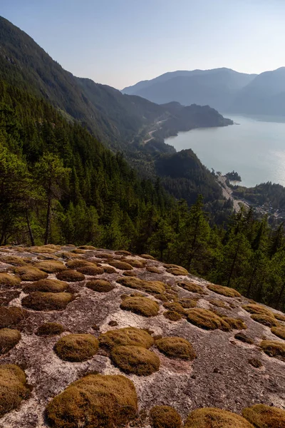 stock image Beautiful Canadian Landscape View during a sunny summer day. Taken in  Squamish, North of Vancouver, BC, Canada.