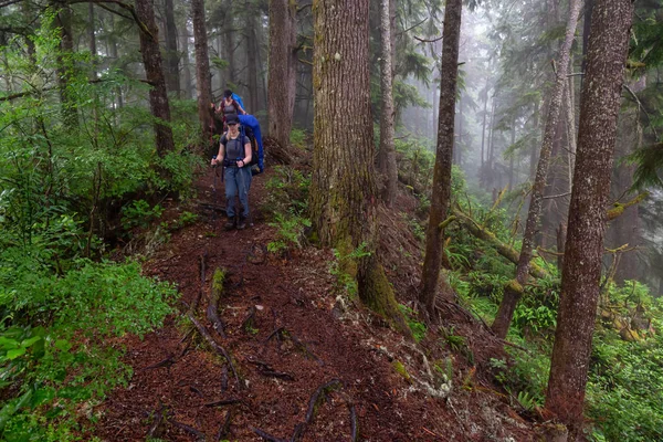 모험심이 친구들은 안개가 자욱하고 여름날 숲속의 트레일 Juan Fuca Trail — 스톡 사진