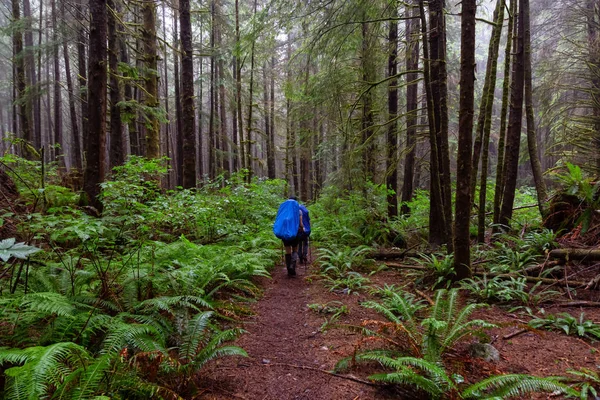 Adventurous female friends are hiking Juan de Fuca Trail in the woods during a misty and rainy summer day. Taken near Port Renfrew, Vancouver Island, BC, Canada.