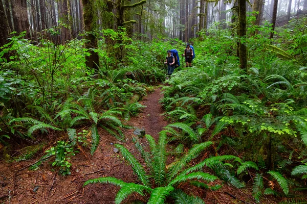 Maceracı bayan arkadaşlar sisli ve yağmurlu bir yaz günü boyunca ormanda Juan de Fuca Trail yürüyüş vardır. Port Renfrew yakınlarında çekilen Vancouver Adası, Bc, Kanada.