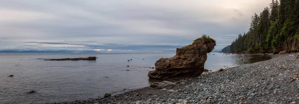 夏季日落期间 德富卡小径上岩石海滩的美丽全景 拍摄于加拿大不列颠哥伦比亚省温哥华岛伦弗鲁港附近的钦海滩 — 图库照片