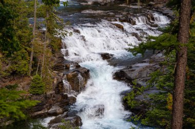 Güneşli bir yaz gününde Mcdonald Falls'un güzel manzarası. Glacier National Park, Montana, Amerika Birleşik Devletleri.