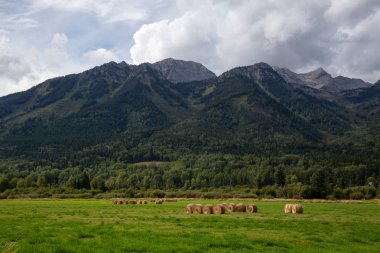 Canlı güneşli bir yaz günü boyunca Arka Planda Kanada Rocky Dağları ile bir çiftlik alanında Hay Bales. Fernie yakınlarındaki Kootenay'da çekildi, British Columbia, Kanada.
