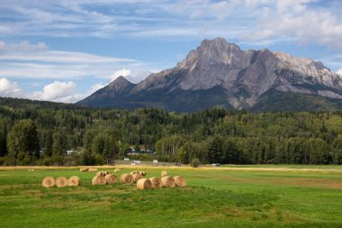 Bales of Hay in a farm field with Canadian Rocky Mountains in the Background during a vibrant sunny summer day. Taken in Kootenay near Fernie, British Columbia, Canada. clipart
