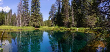 Canlı güneşli bir yaz gününde Little Crater Gölü'nün güzel manzarası. Mt Hood Ulusal Ormanı, Oregon, Amerika Birleşik Devletleri'nde çekildi.