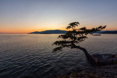 Renkli bir yaz gün batımı sırasında Pasifik Okyanusu Kıyısında Kanada Manzara Güzel Görünümü. Lighthouse Park, Batı Vancouver, British Columbia, Kanada'da çekildi.