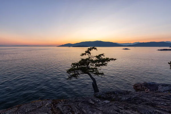 Όμορφη Θέα Του Καναδικού Τοπίου Στις Ακτές Του Ειρηνικού Ωκεανού — Φωτογραφία Αρχείου