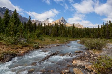 Buzul Nehri güneşli bir yaz günü boyunca güzel Kanada Rockies akan. Jasper National Park, Alberta, Kanada'da çekildi.