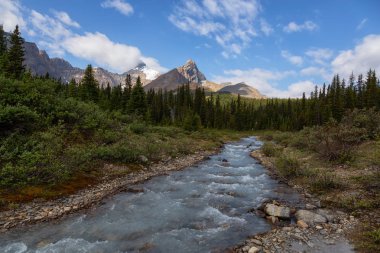 Buzul Nehri güneşli bir yaz günü boyunca güzel Kanada Rockies akan. Jasper National Park, Alberta, Kanada'da çekildi.