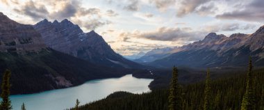 Kanada Kayalık Dağları ve Peyto Gölü, hareketli bir yaz gün batımı sırasında bir dağın tepesinden manzaraya bakmaktadır. Icefields Parkway, Banff Ulusal Parkı, Alberta, Kanada'da çekildi.