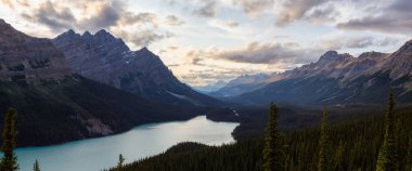 Canadian Rockies and Peyto Lake viewed from the top of a mountain during a vibrant summer sunset. Taken in Icefields Parkway, Banff National Park, Alberta, Canada. clipart