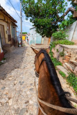 Trinidad, Küba - 12 Haziran 2019: Canlı güneşli bir günde küçük bir Küba Kasabasının sokaklarında bir atın üstüne binmek.
