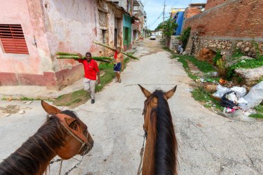 Trinidad, Küba - 12 Haziran 2019: Canlı güneşli bir günde küçük bir Küba Kasabasının sokaklarında bir atın üstüne binmek.