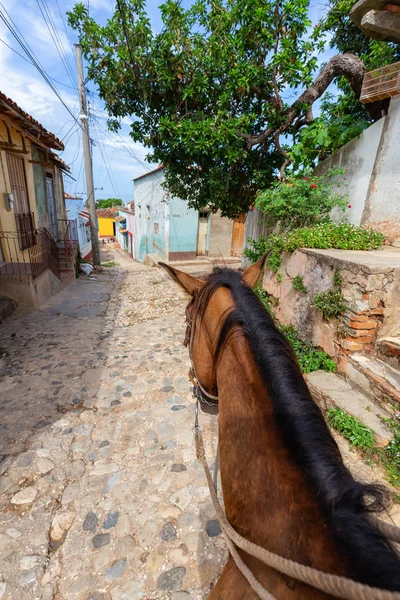 Jazda Szczycie Konia Ulicach Małego Kubańskiego Miasteczka Tętniącym Życiem Słonecznym — Zdjęcie stockowe