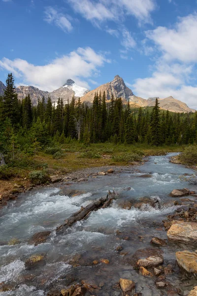 화창한 여름날 아름다운 캐나다 산맥에 흐르는 재스퍼 국립공원 앨버타 캐나다에서 — 스톡 사진